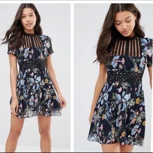 Anthropologie (Foxiedox) Andora Printed Dress.